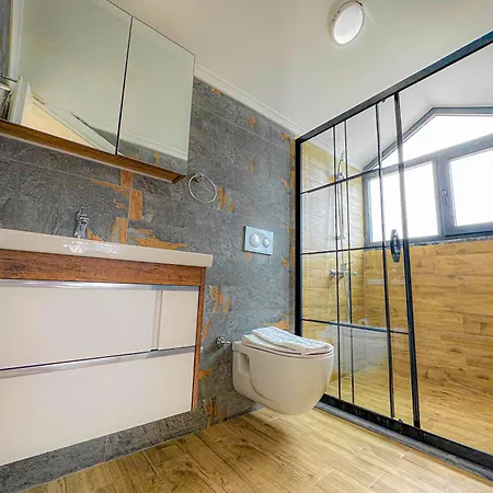 Nokta Park J 4+1 别墅 费特希耶